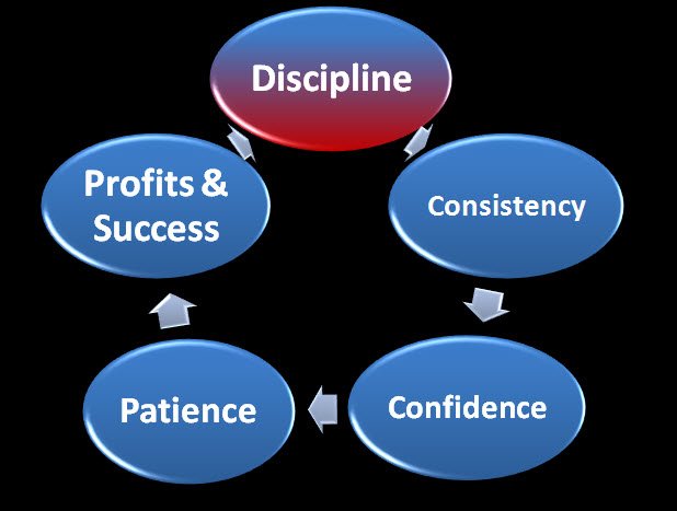 discipline-cycle